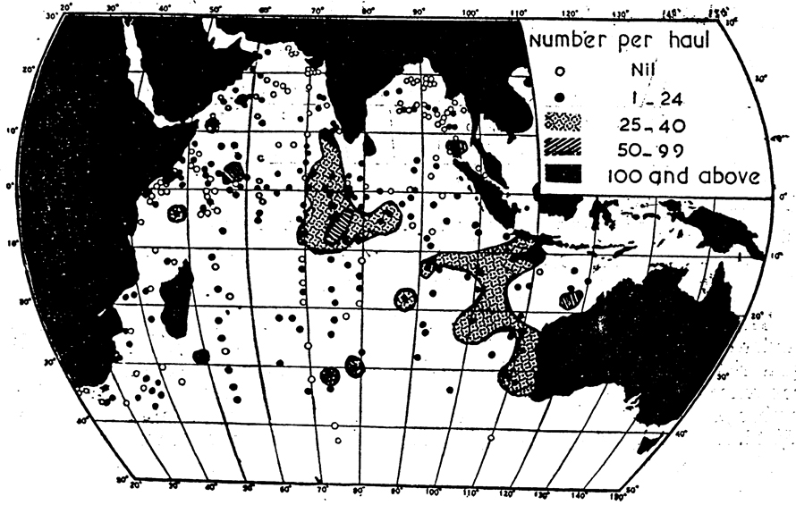 Espce Corycaeus (Urocorycaeus) longistylis - Carte de distribution 3