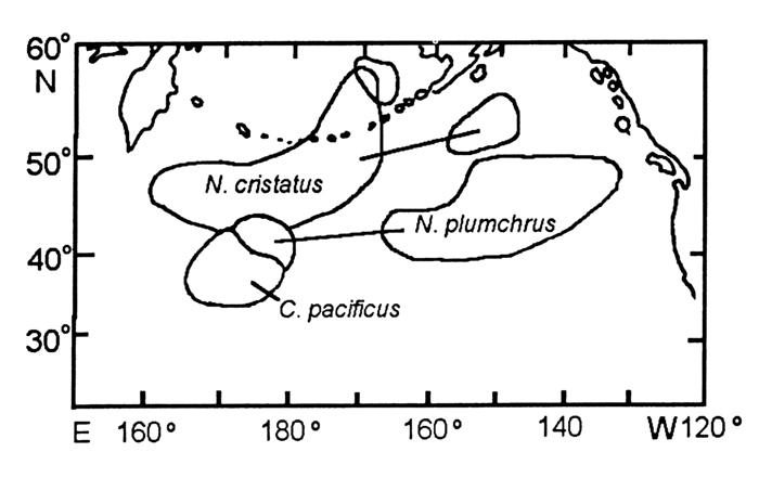 Species Neocalanus cristatus - Distribution map 2