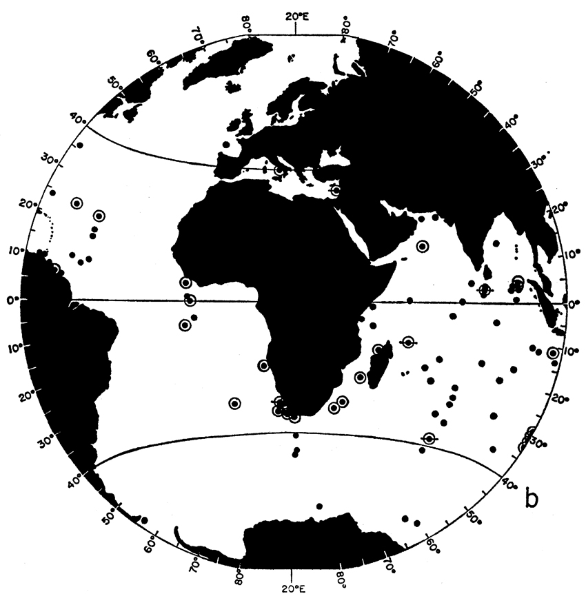 Species Clausocalanus parapergens - Distribution map 4