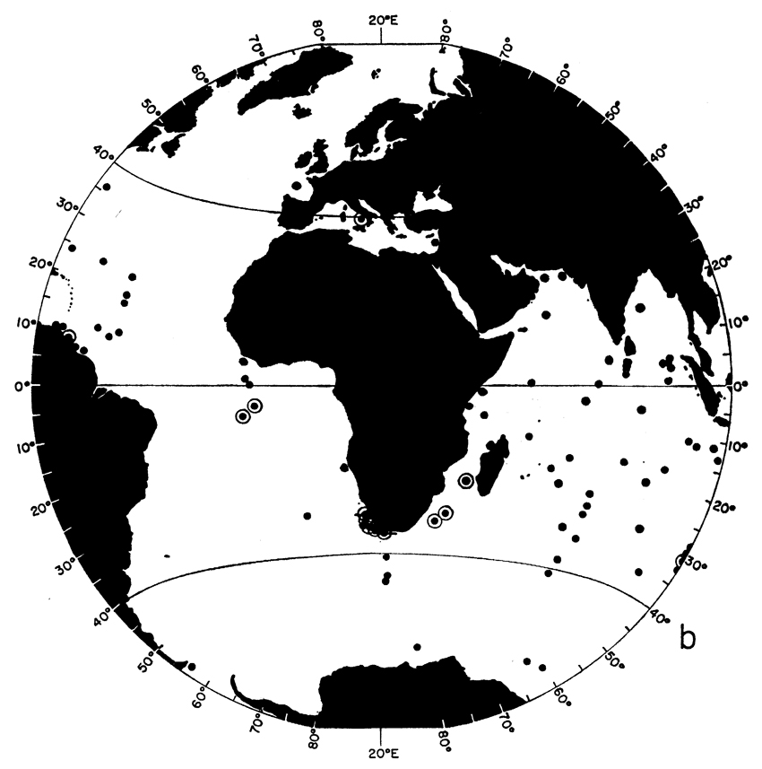 Espèce Clausocalanus jobei - Carte de distribution 4