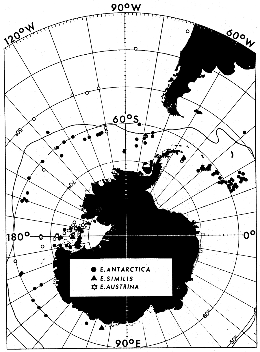 Espce Paraeuchaeta austrina - Carte de distribution 5