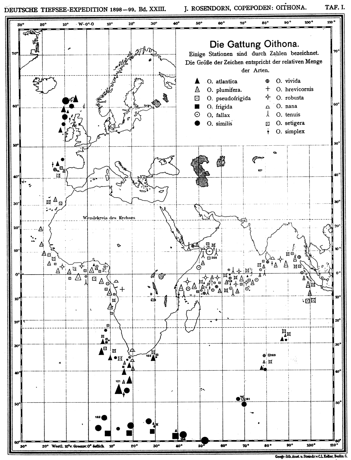 Species Oithona atlantica - Distribution map 5