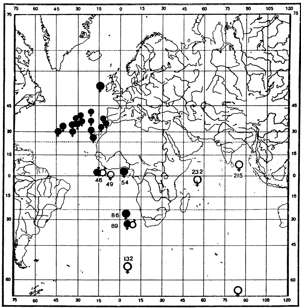Species Cephalophanes frigidus - Distribution map 5
