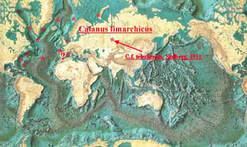 Espce Calanus finmarchicus - Carte de distribution 3