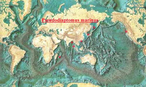 Species Pseudodiaptomus marinus - Distribution map 3