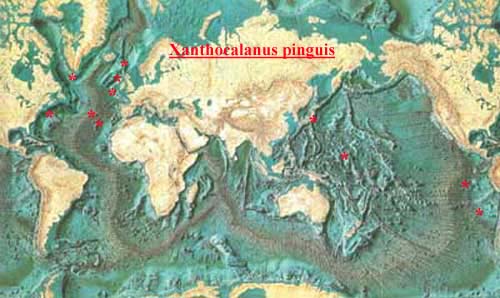 Species Xanthocalanus pinguis - Distribution map 2