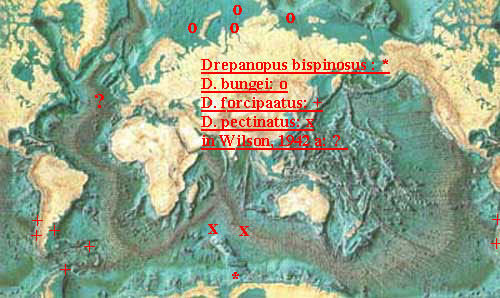 Espce Drepanopus bispinosus - Carte de distribution 3