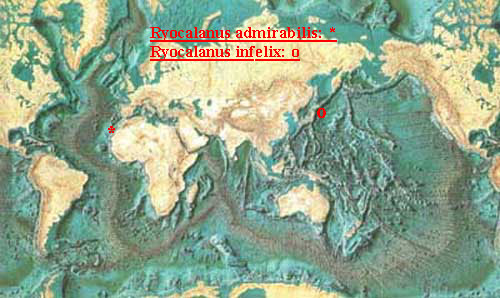 Espce Ryocalanus infelix - Carte de distribution 2