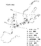 Species Acartia (Acanthacartia) tonsa - Distribution map 6