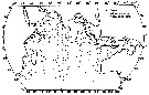Species Ratania flava - Distribution map 3
