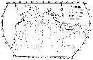Espèce Pleuromamma borealis - Carte de distribution 4