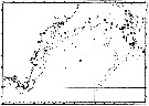 Species Centropages hamatus - Distribution map 3