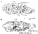 Espèce Calanus finmarchicus - Carte de distribution 7