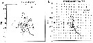 Espèce Paracalanus aculeatus - Carte de distribution 6