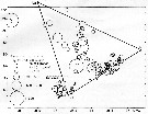 Species Paracalanus parvus - Distribution map 13