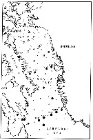 Species Calanus finmarchicus - Distribution map 15