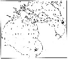 Species Calanus glacialis - Distribution map 9