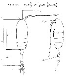 Espèce Acartia (Acartiura) longiremis - Carte de distribution 11