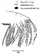 Species Temora longicornis - Distribution map 33