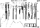 Espèce Calanoides acutus - Carte de distribution 14