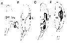 Espèce Pseudocalanus acuspes - Carte de distribution 3