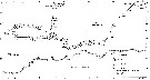 Espèce Rhincalanus gigas - Carte de distribution 12