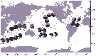 Espèce Pleuromamma xiphias - Carte de distribution 10