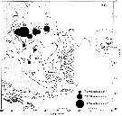 Espèce Calanus australis - Carte de distribution 4