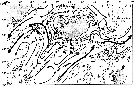 Espèce Calanus finmarchicus - Carte de distribution 40