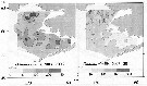 Espèce Oithona similis-Group - Carte de distribution 30