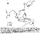 Species Acartia (Odontacartia) pacifica - Distribution map 4