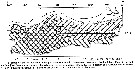 Espèce Calanoides acutus - Carte de distribution 30