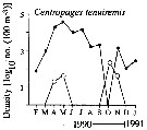 Espèce Centropages tenuiremis - Carte de distribution 4