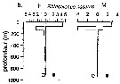 Espèce Rhincalanus nasutus - Carte de distribution 10