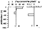 Espèce Pleuromamma piseki - Carte de distribution 12