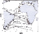 Espèce Calanoides carinatus - Carte de distribution 9