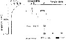 Espèce Neocalanus cristatus - Carte de distribution 21