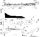 Espèce Calanus glacialis - Carte de distribution 67