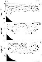 Espèce Metridia okhotensis - Carte de distribution 6