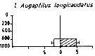 Espèce Augaptilus longicaudatus - Carte de distribution 3