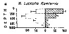 Espèce Lucicutia flavicornis - Carte de distribution 11