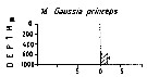 Espèce Gaussia princeps - Carte de distribution 6