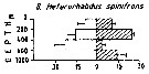 Espèce Heterorhabdus spinifrons - Carte de distribution 5