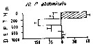 Espèce Pleuromamma abdominalis - Carte de distribution 19