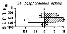 Espèce Scaphocalanus affinis - Carte de distribution 5
