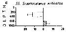 Espèce Scaphocalanus echinatus - Carte de distribution 6