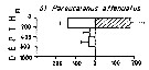 Espèce Pareucalanus attenuatus - Carte de distribution 6