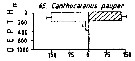Espèce Canthocalanus pauper - Carte de distribution 7