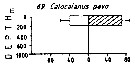 Espèce Calocalanus pavo - Carte de distribution 8