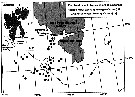 Species Calanus glacialis - Distribution map 79
